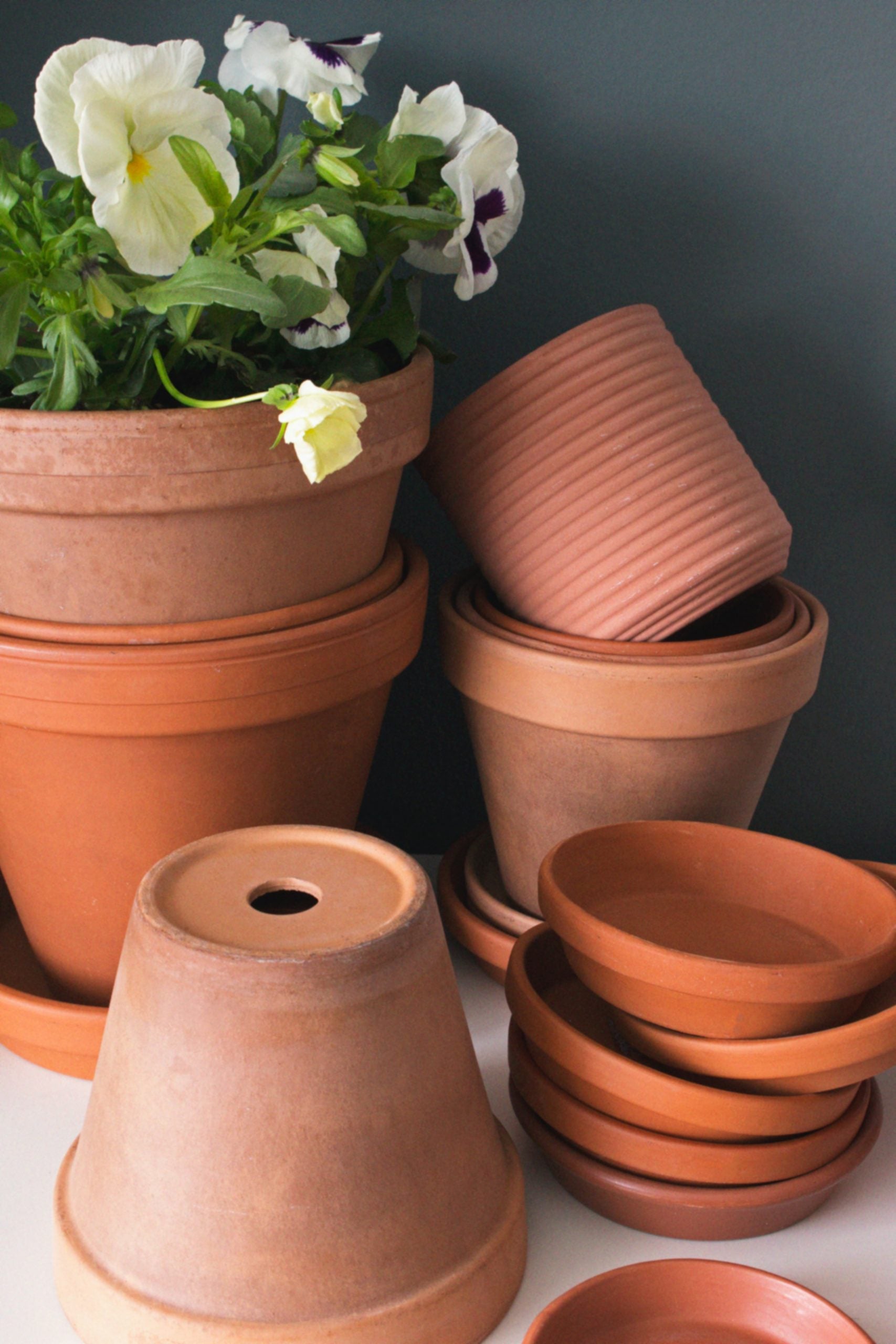 10 idee per dipingere vasi di fiori