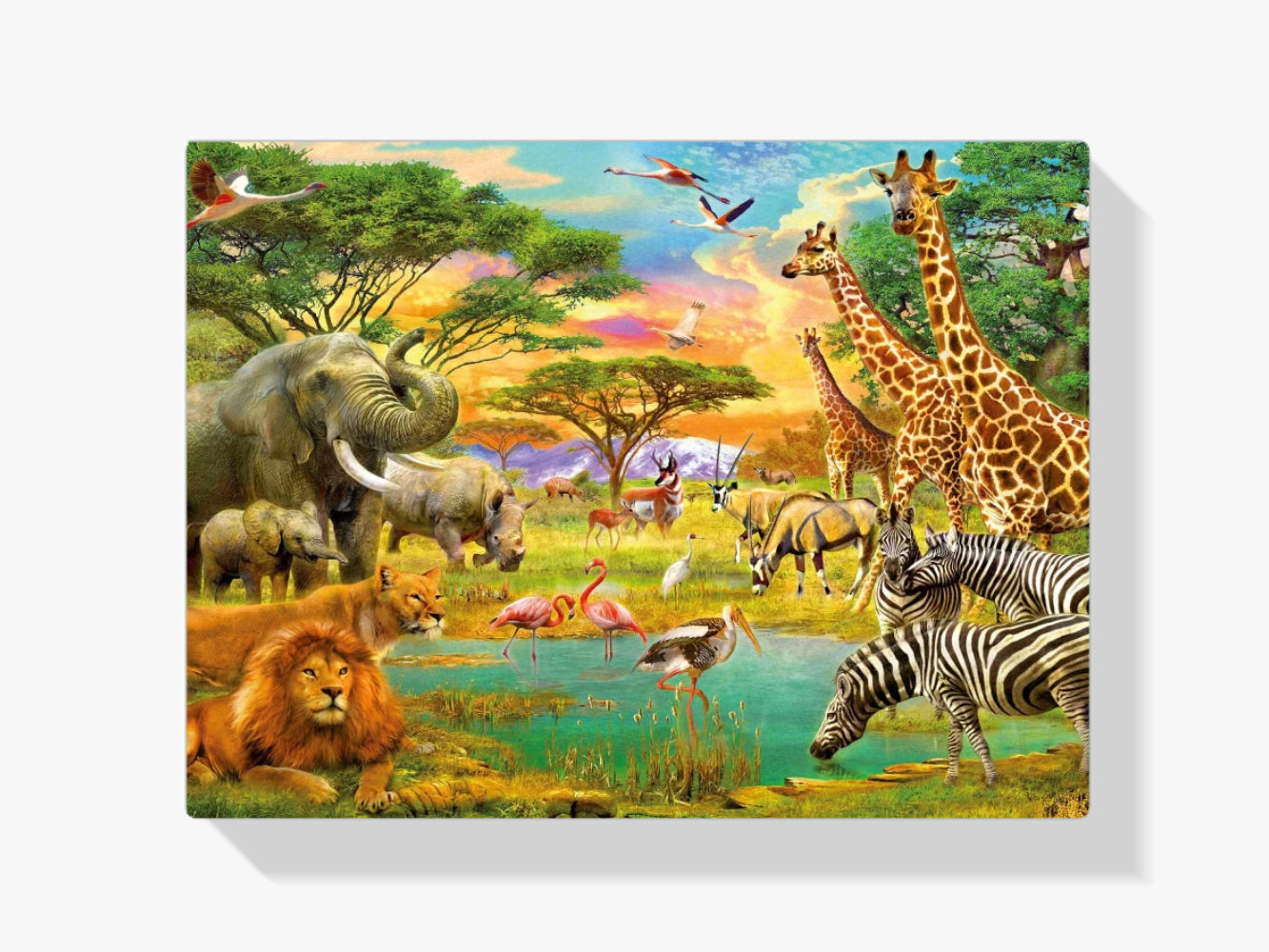 Giungla africana - Dipingere con i numeri