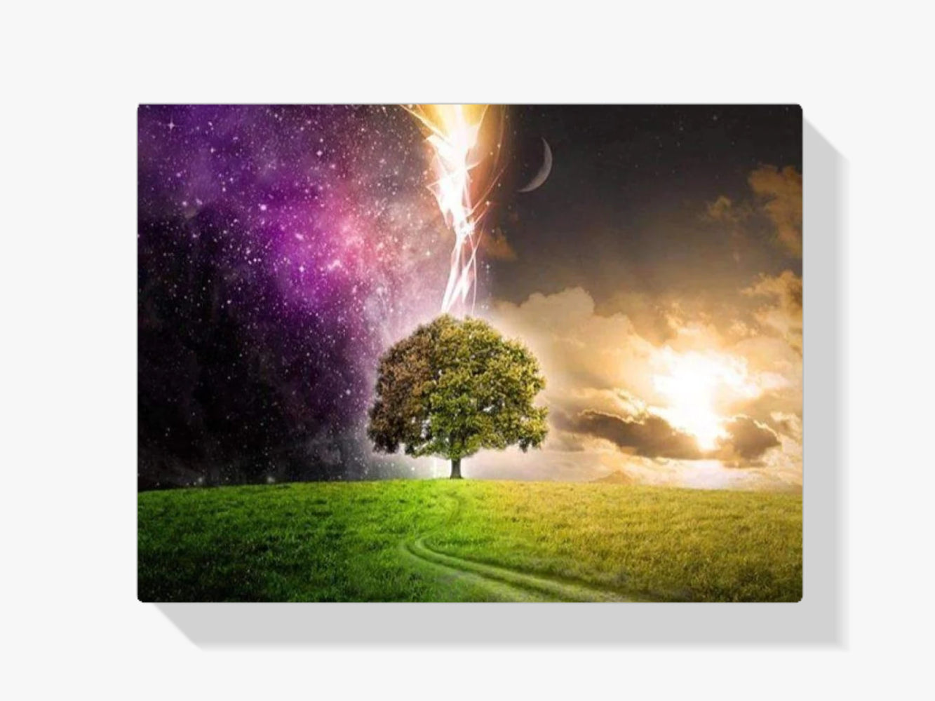 Baum Tag und Nacht - Malen nach Zahlen
