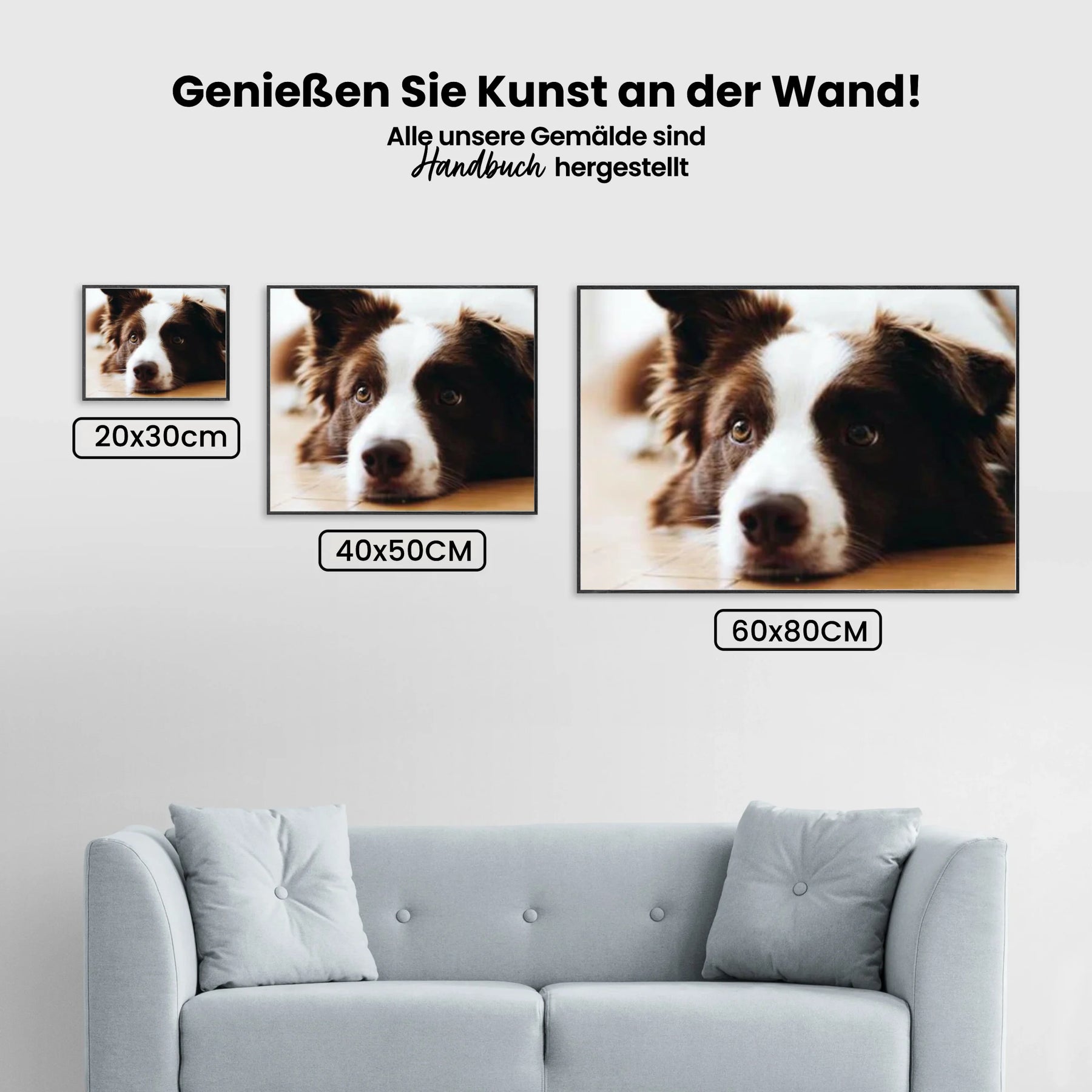 Bordercollie - Malen nach Zahlen