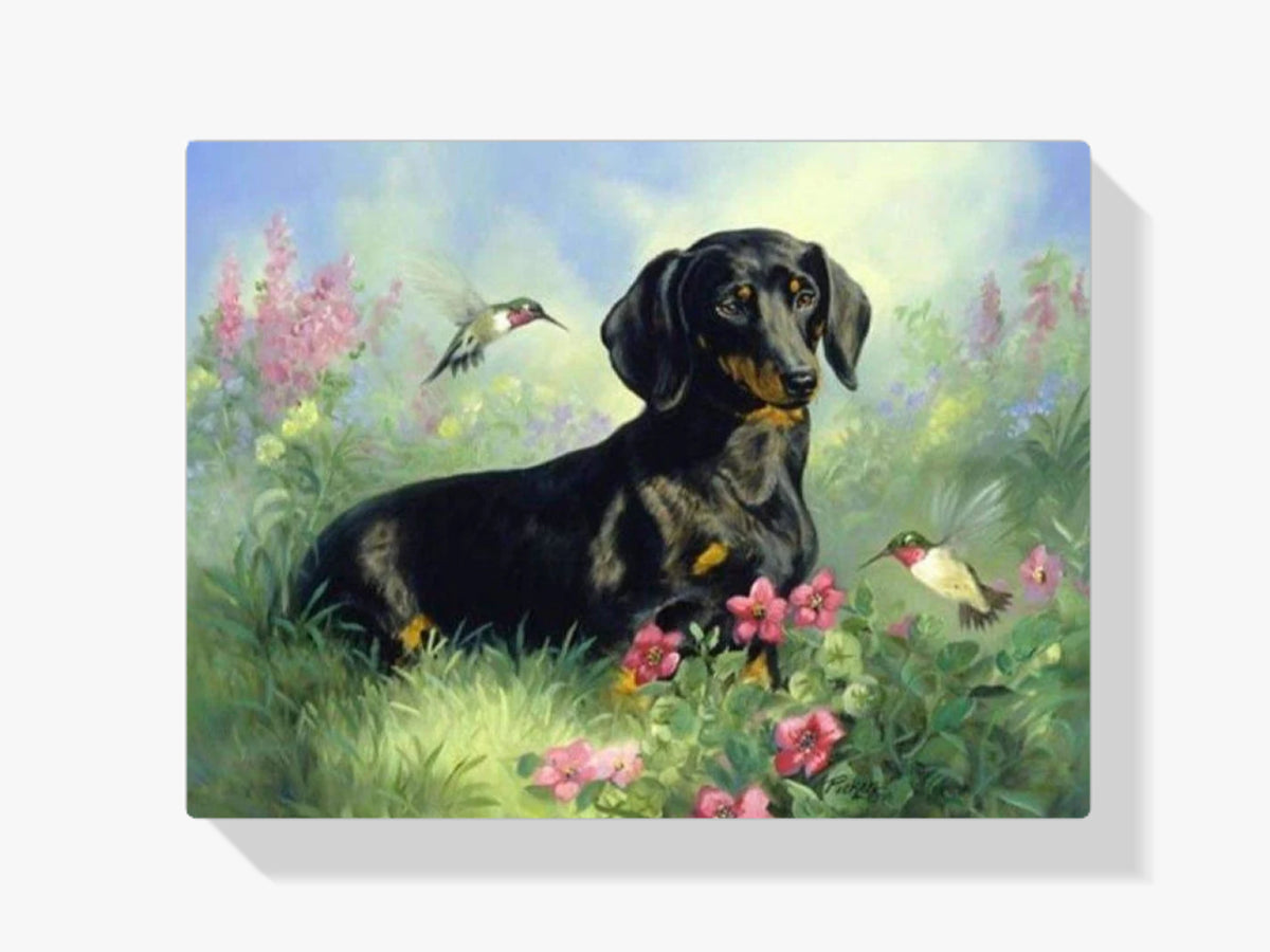 Dackel mit Vögeln - Malen nach Zahlen