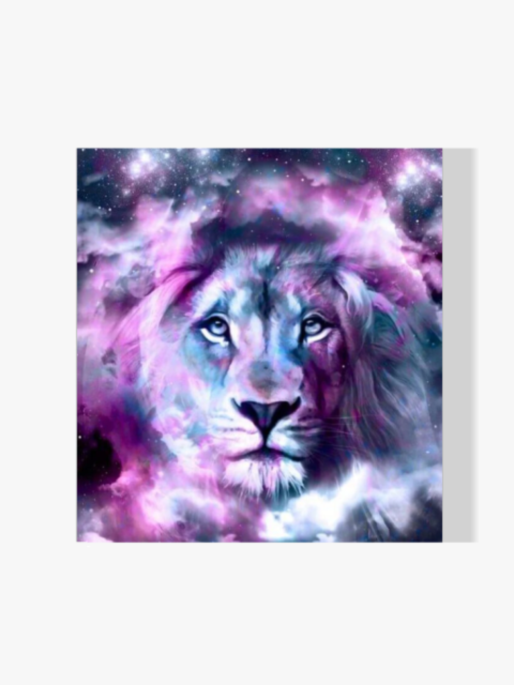 Der Löwe im Universum - Malen nach Zahlen