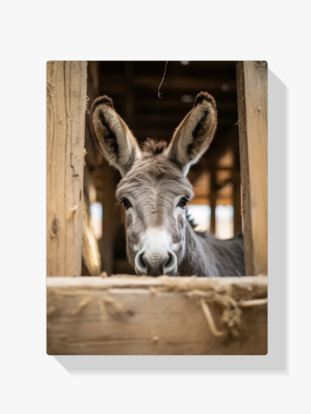 Esel im Stall - Malen nach Zahlen