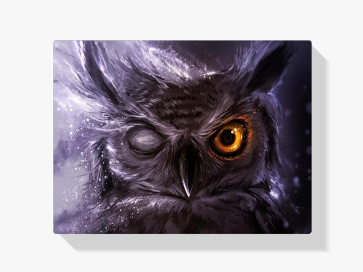 Eule - Malen nach Zahlen