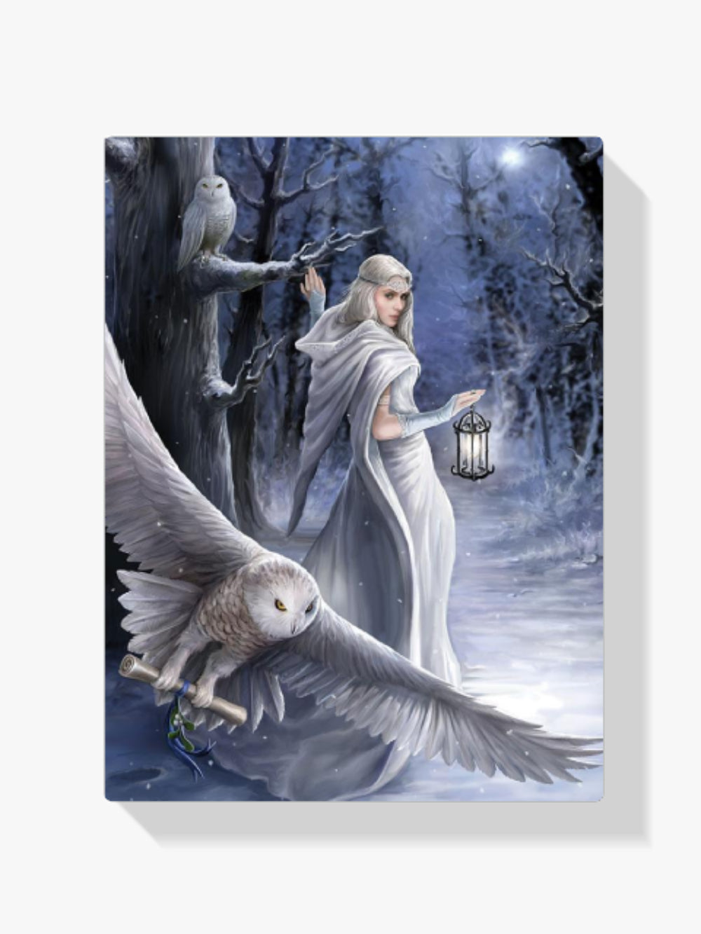 Frau - Schnee-Eule - Malen nach Zahlen