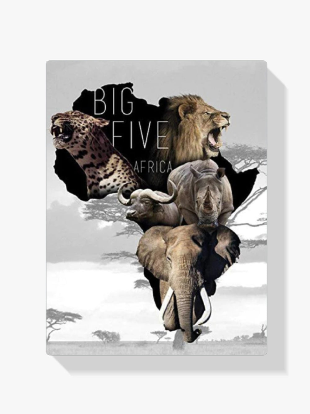 Große Fünf - Malen nach Zahlen