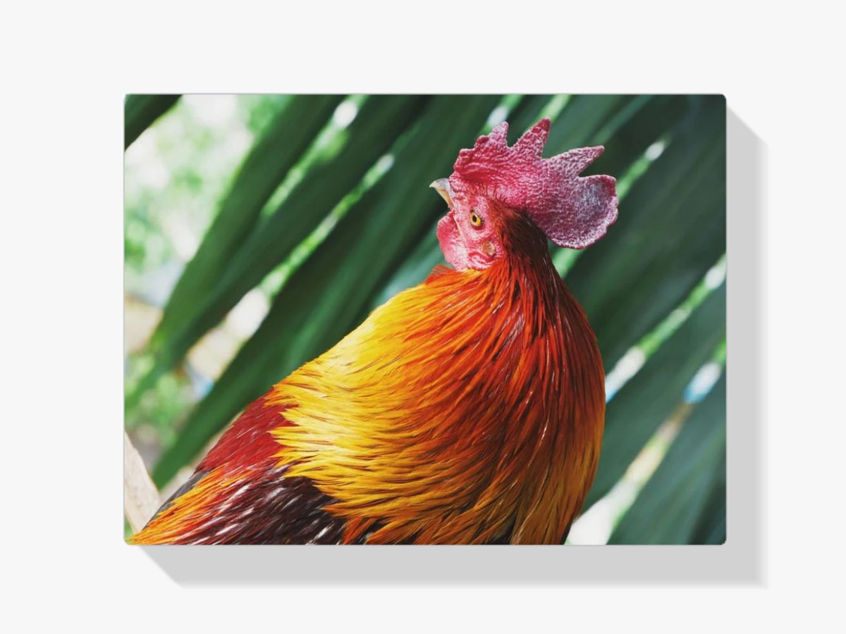 Hahn Portrait - Malen nach Zahlen