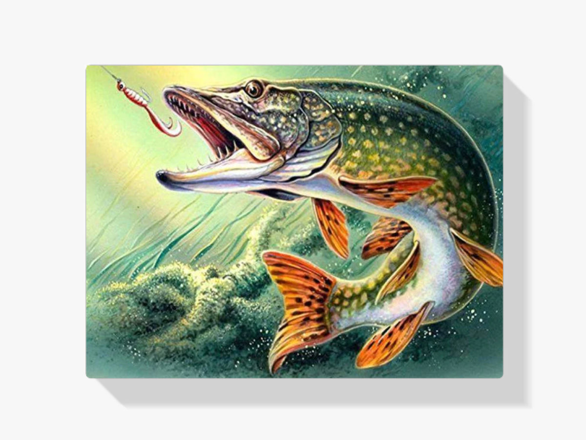 Hecht - Malen nach Zahlen