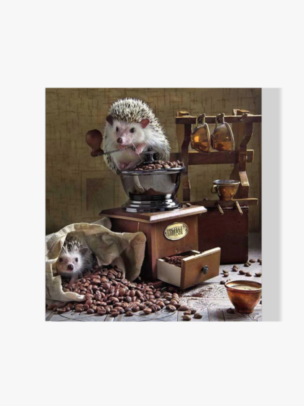 Igel - Malen nach Zahlen