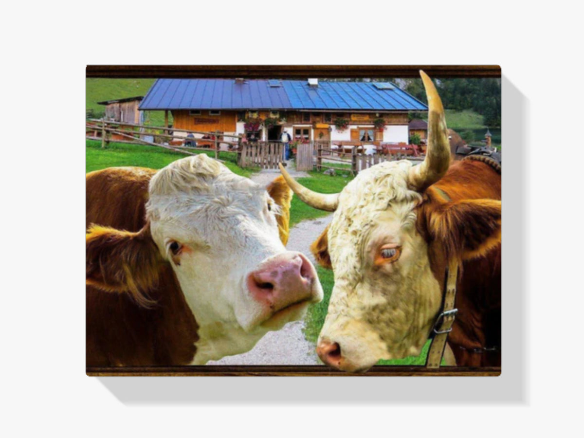 Kühe in einer Liste - Malen nach Zahlen