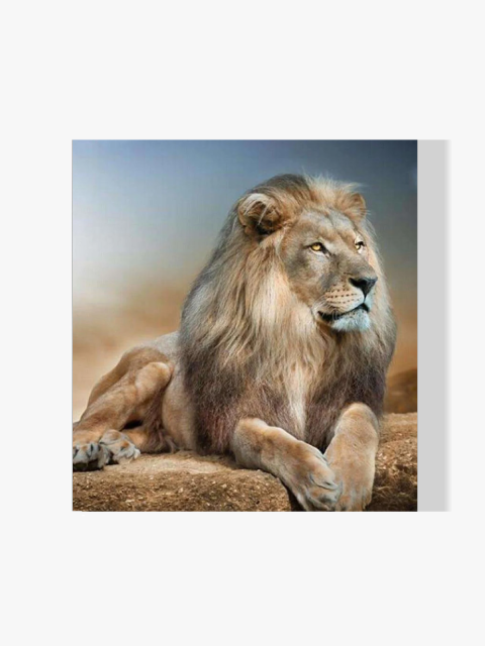 Löwe - Malen nach Zahlen