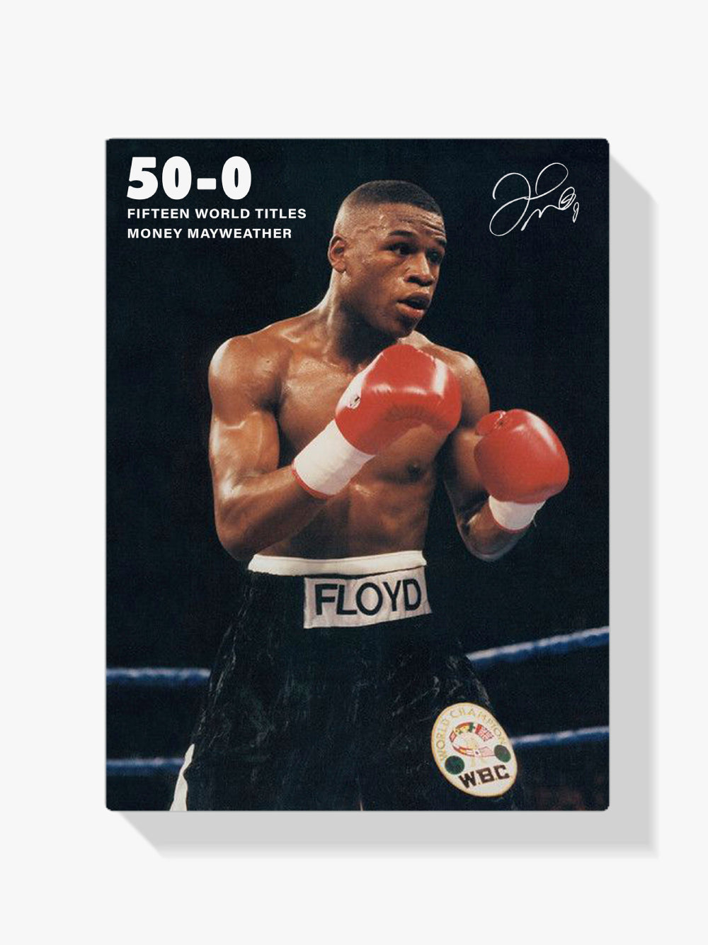 Dipingere con i numeri - Floyd Mayweather