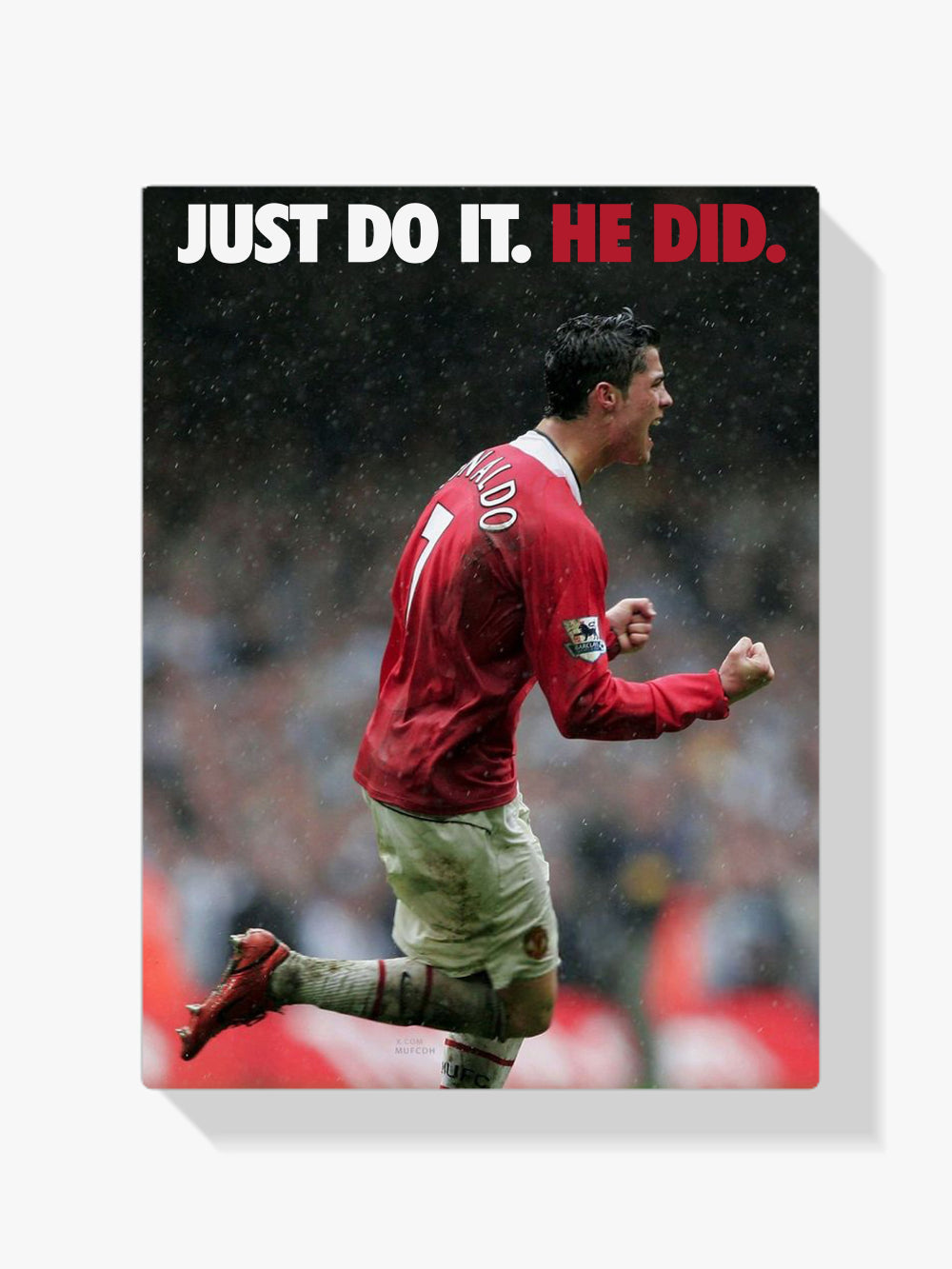 Dipingere con i numeri - Ronaldo