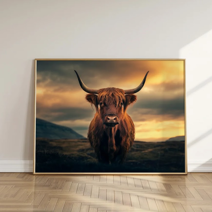 Dipingi con i numeri - Highlander scozzese