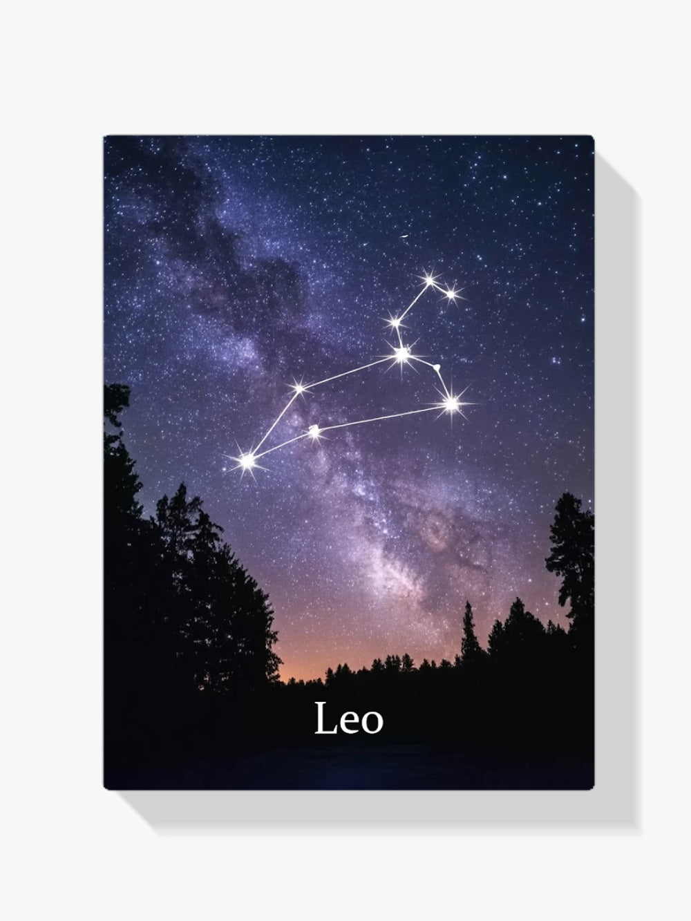 dipingere con i numeri - segno zodiacale - leone