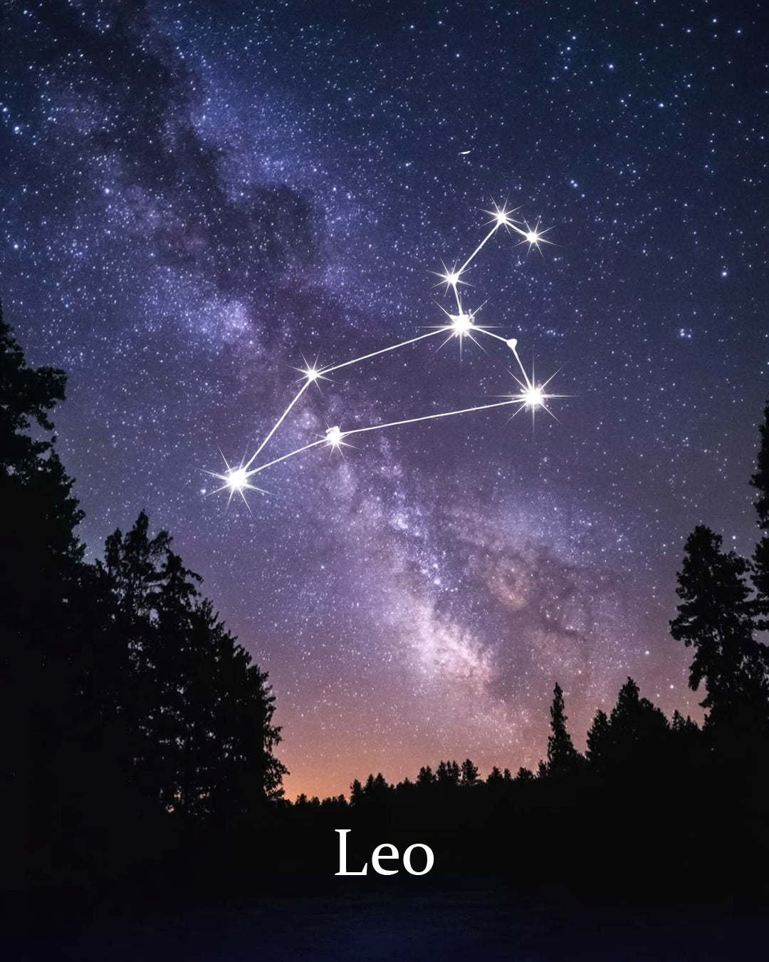 dipingere con i numeri - segno zodiacale - leone