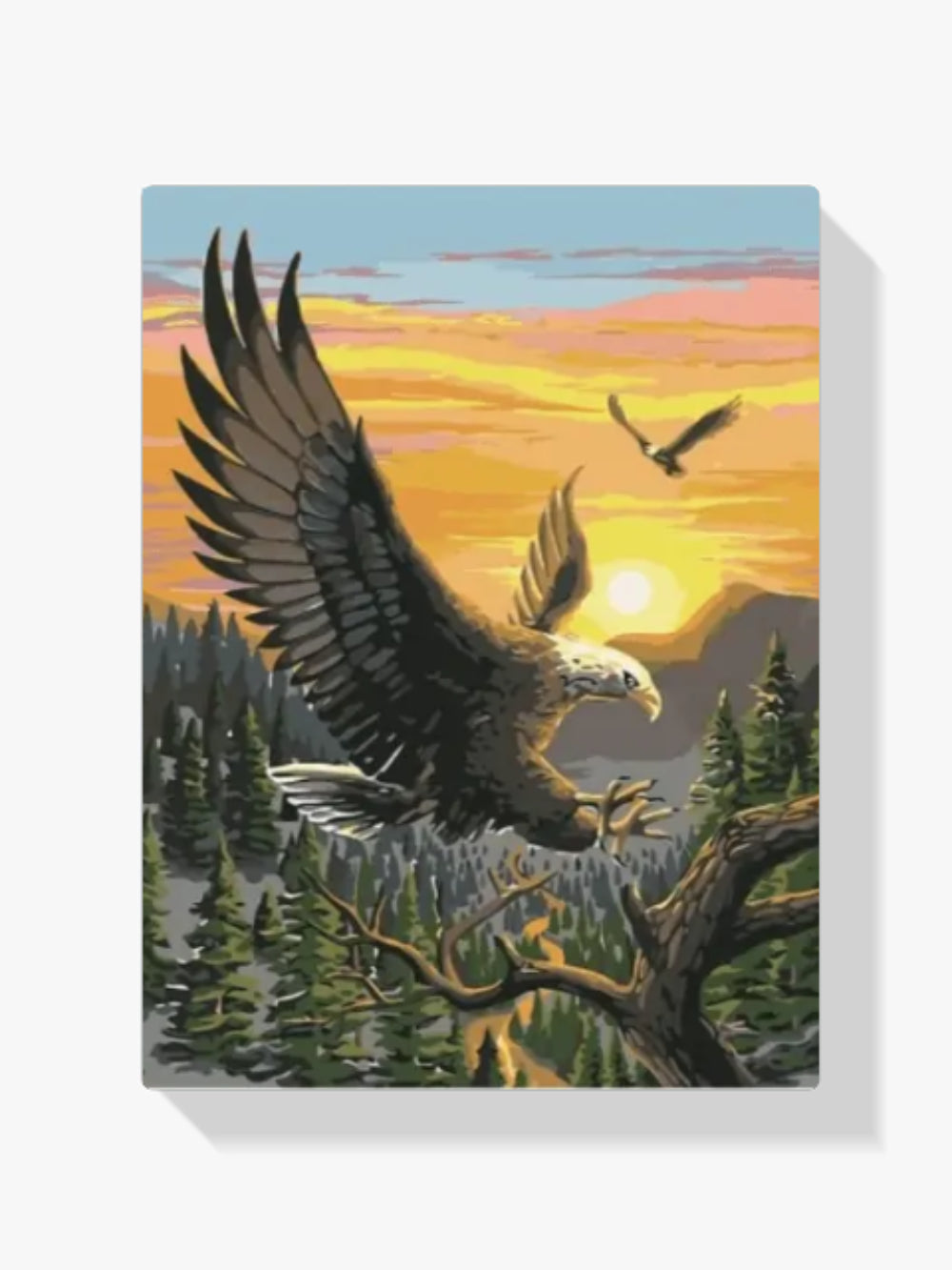 dipingere con i numeri – aquila