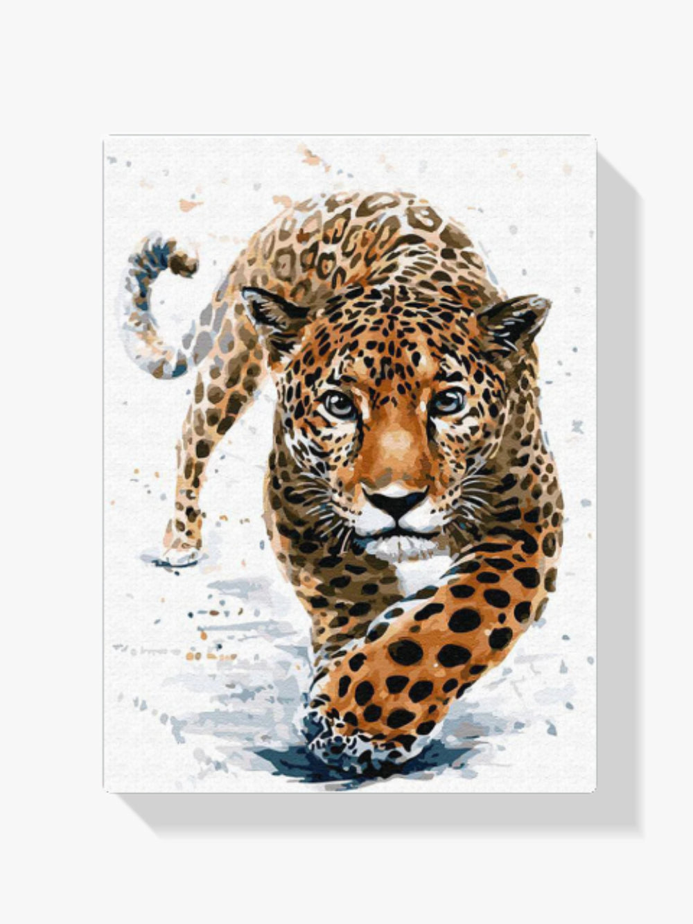 Dipingere con i numeri - Caccia ai leopardi