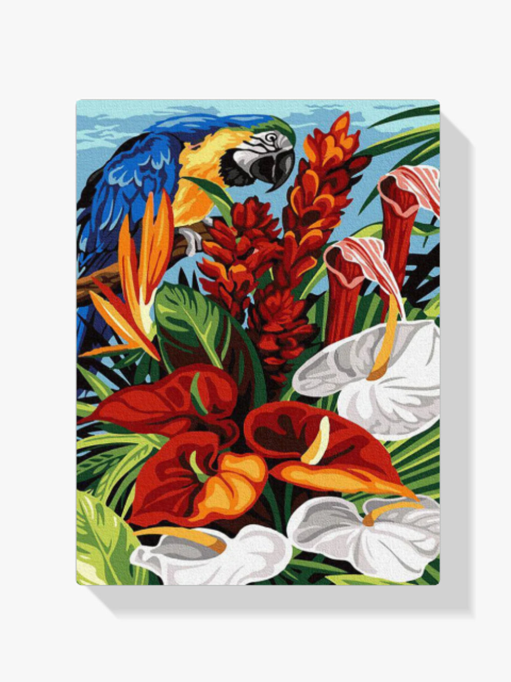 dipingere con i numeri – Blauara