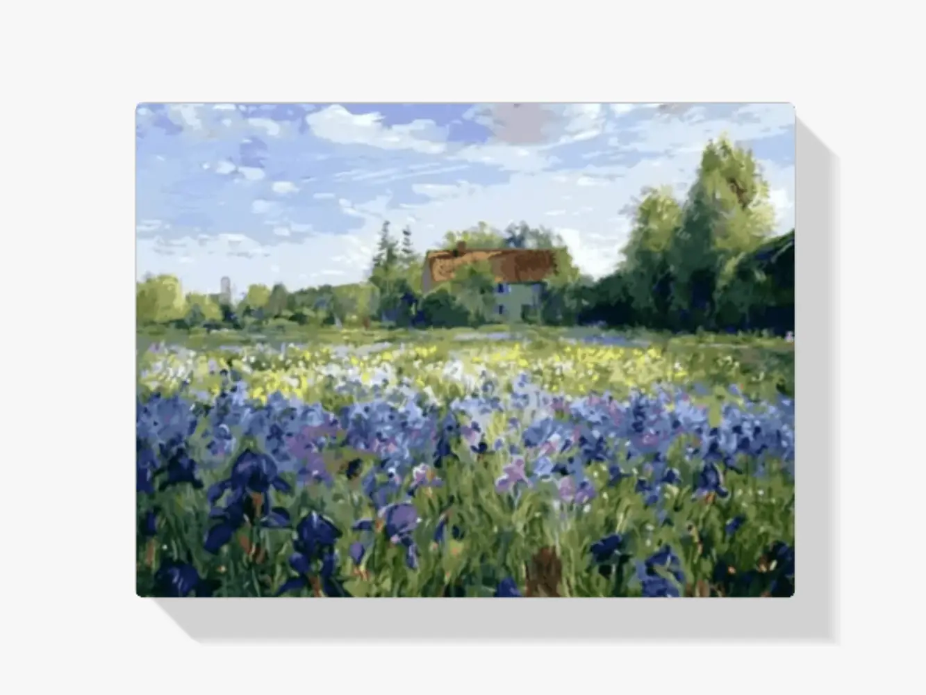 dipingere con i numeri - campo di fiori blu