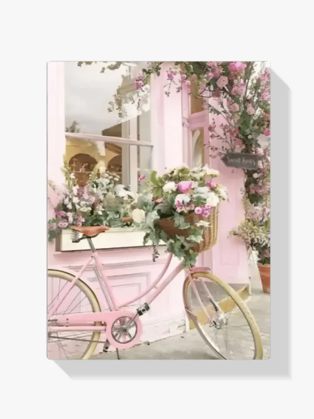 Dipingere con i numeri - Fiori sulla bicicletta