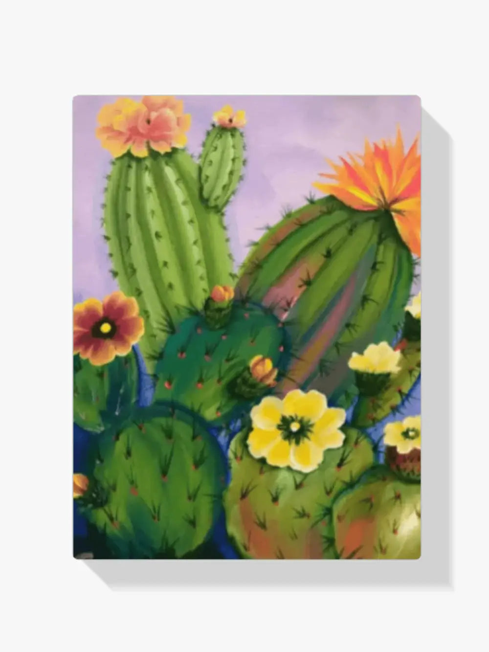 dipingere con i numeri – fiori e cacti