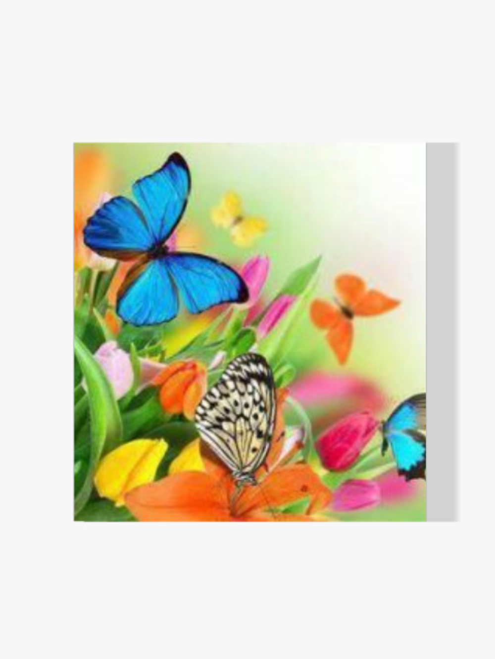 Dipingere con i numeri – Blumen e farfalle