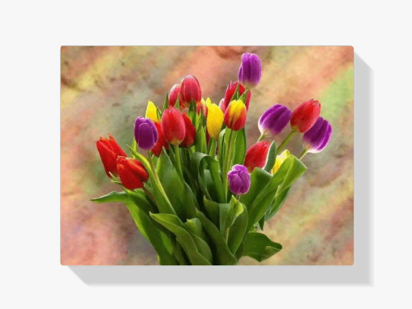 dipingere con i numeri - tulpeni colorati
