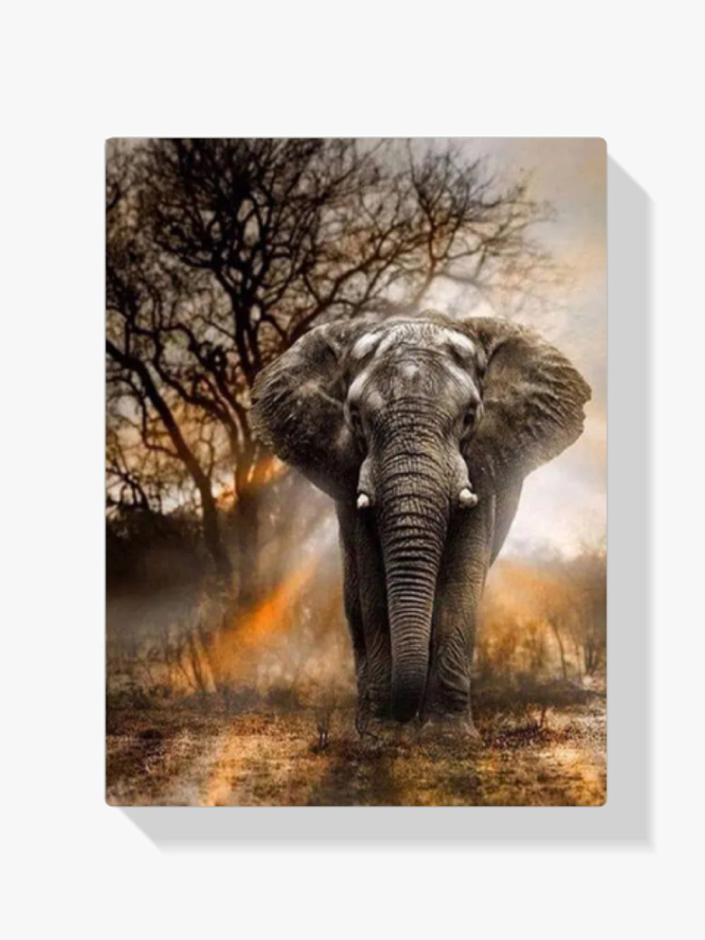 Dipingere con i numeri - Elefante con tramonto
