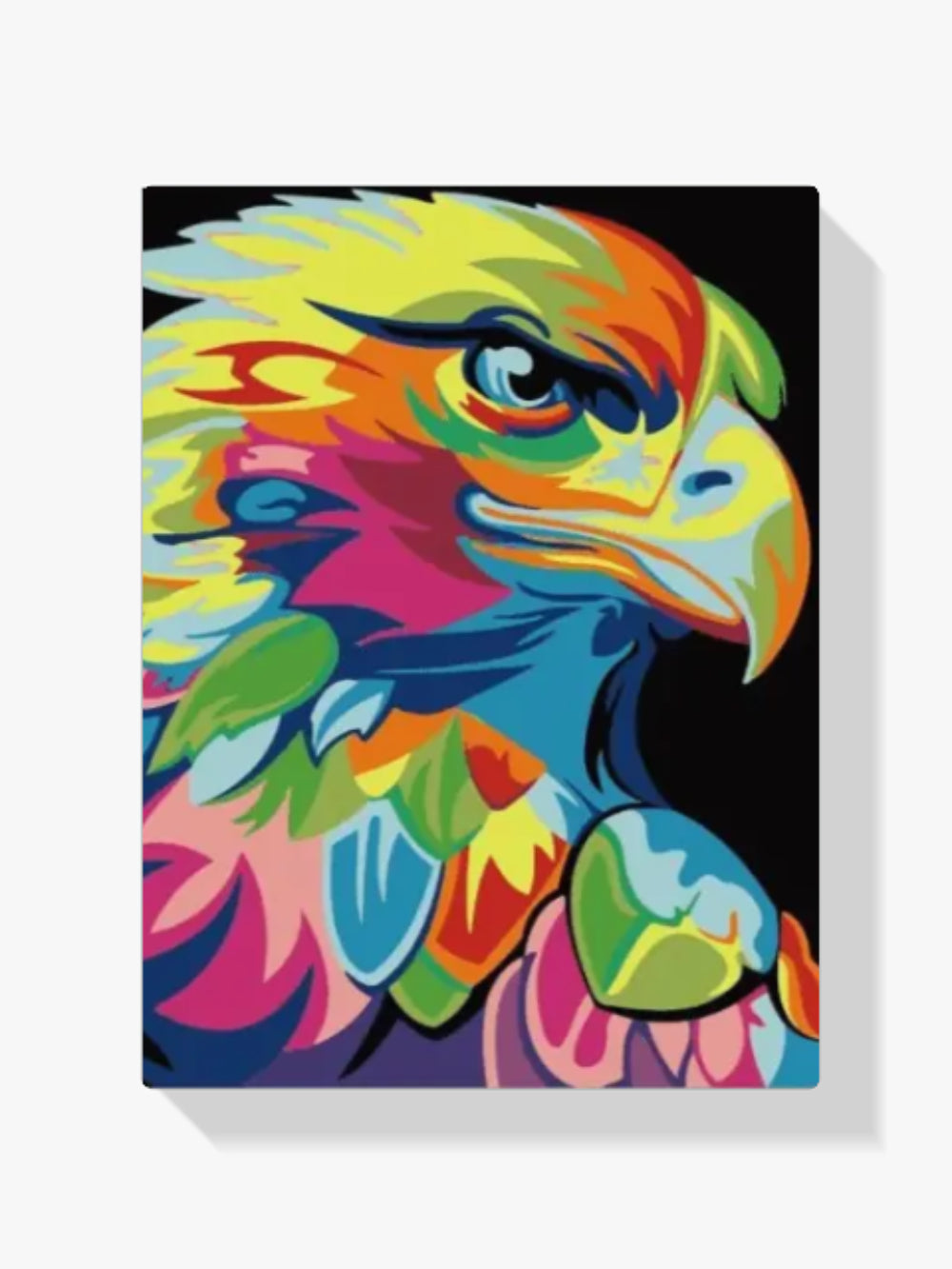 Dipingere con i numeri - Aquila Colorata