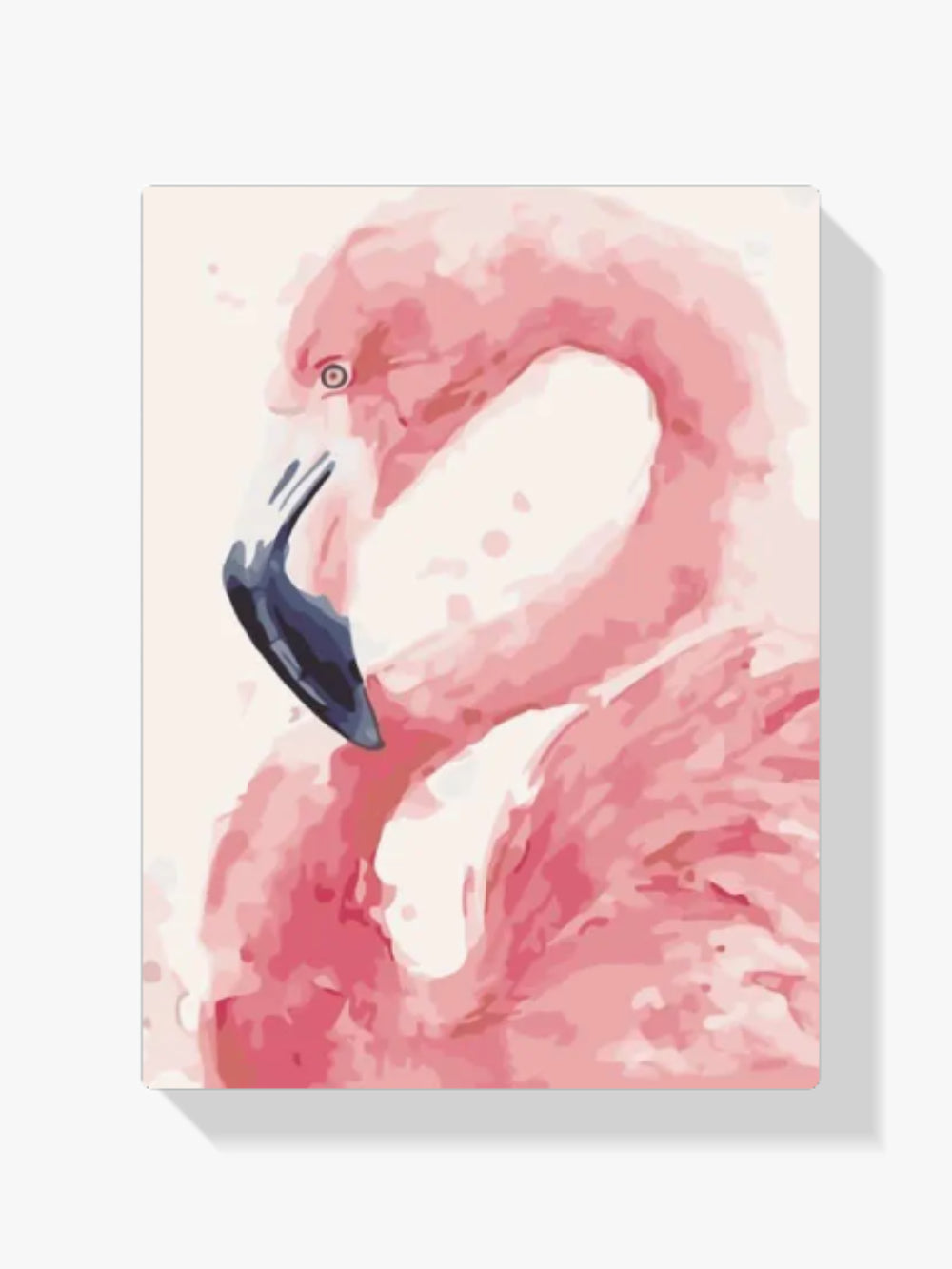 Dipingere con i numeri – Flamingo