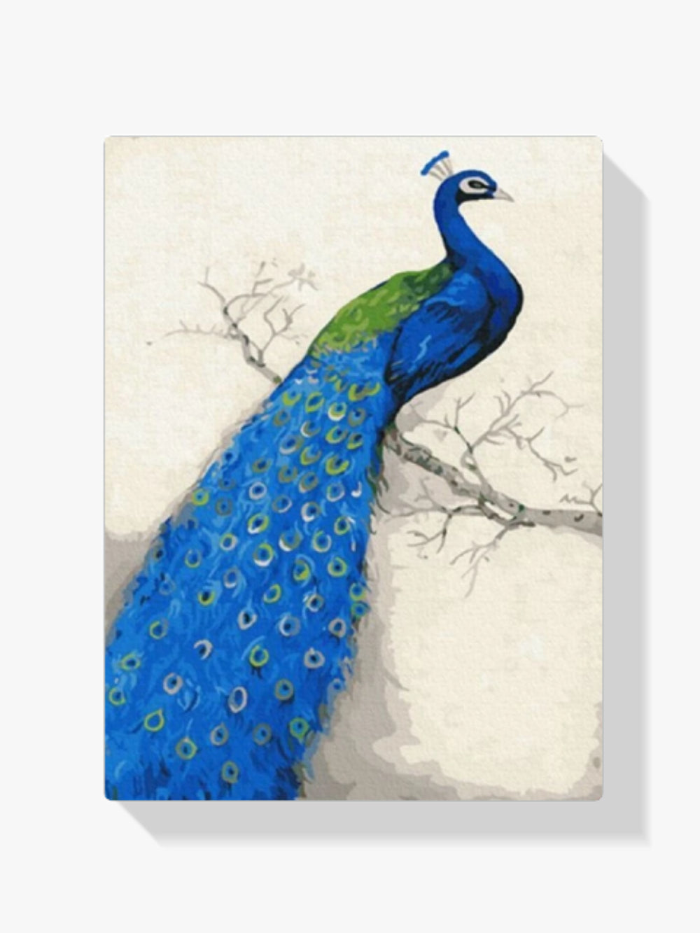 dipingere con i numeri - magnifico pavone