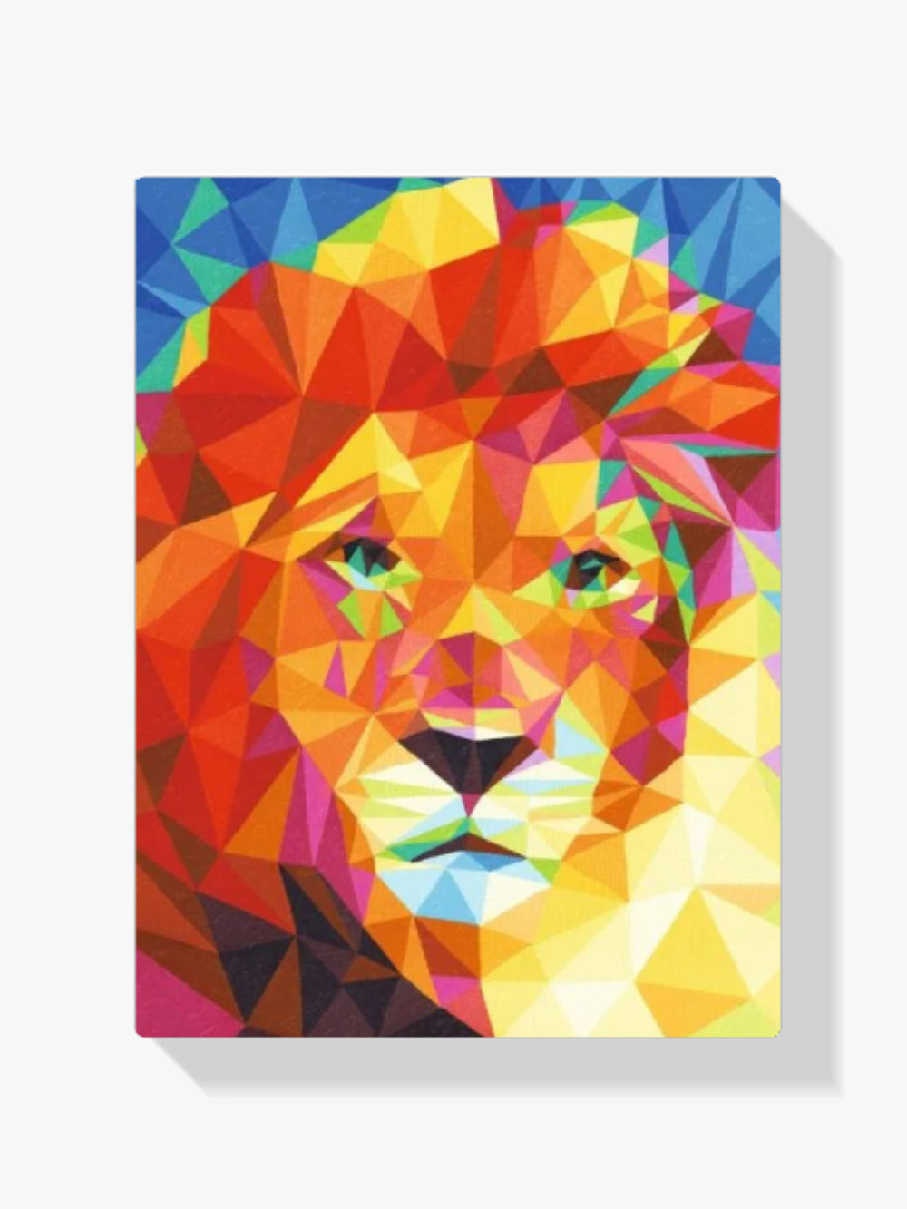 Dipingere con i numeri – Leone colorato