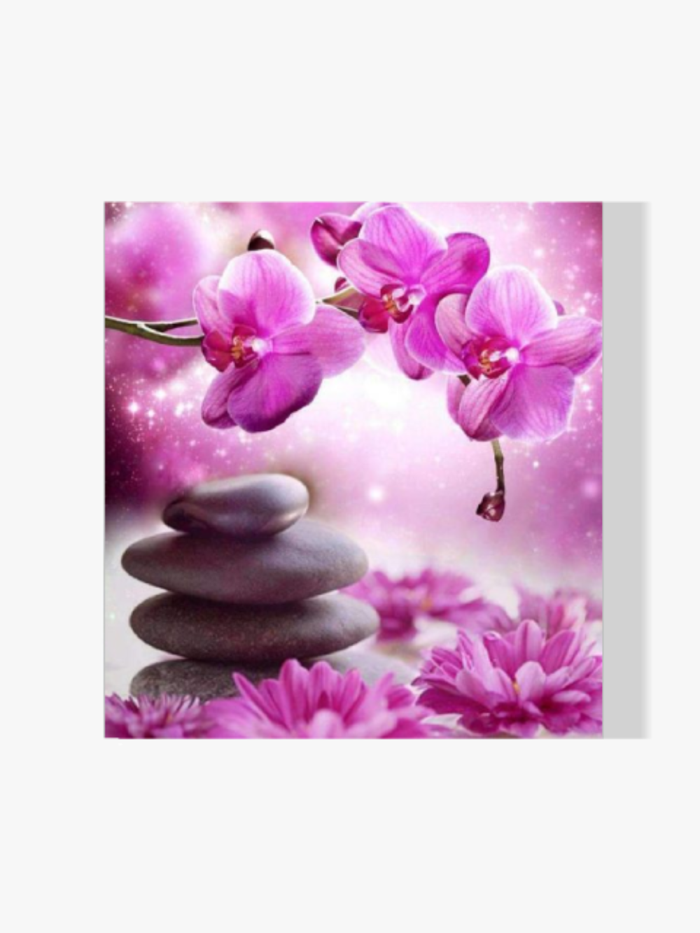 Dipingere con i numeri - Fiori Magici