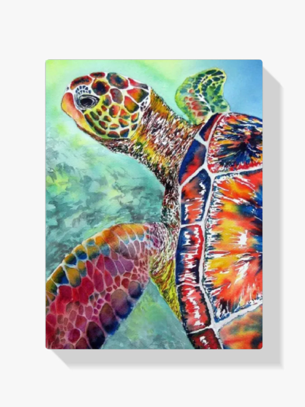 dipingere con i numeri – tartaruga marina