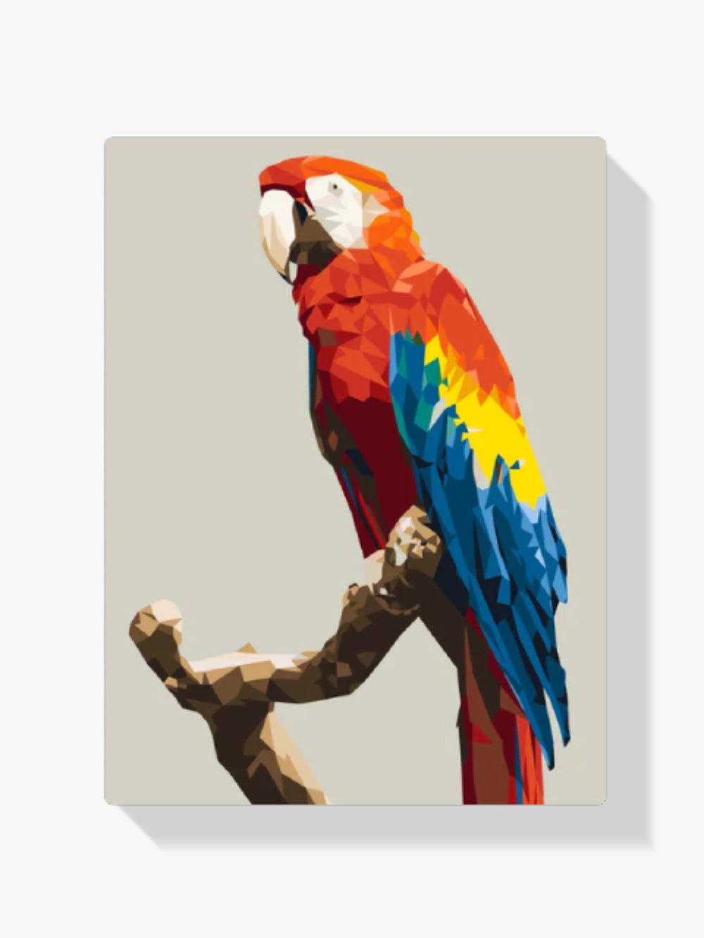 dipingere con i numeri – papagione poligono