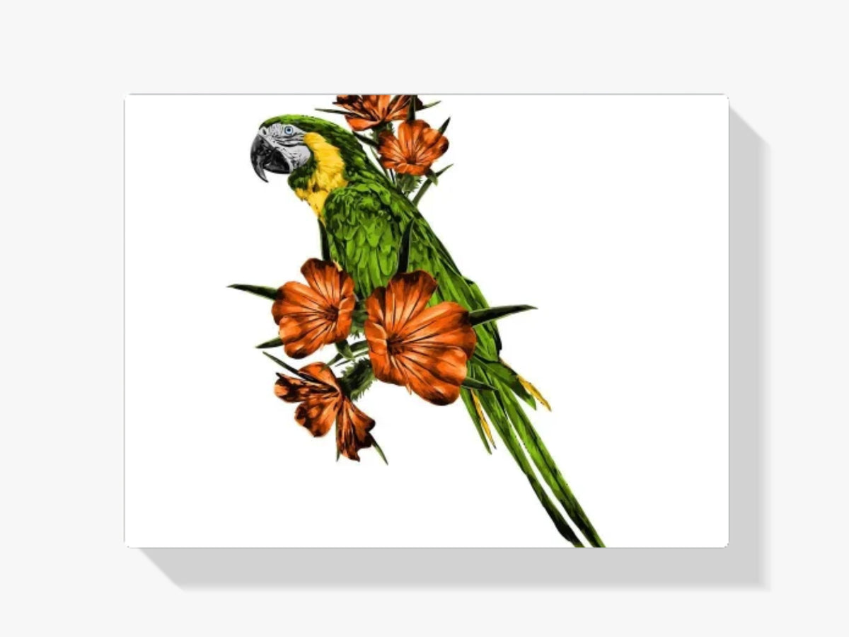 Dipingere con i numeri - Pappagallo sul ramo