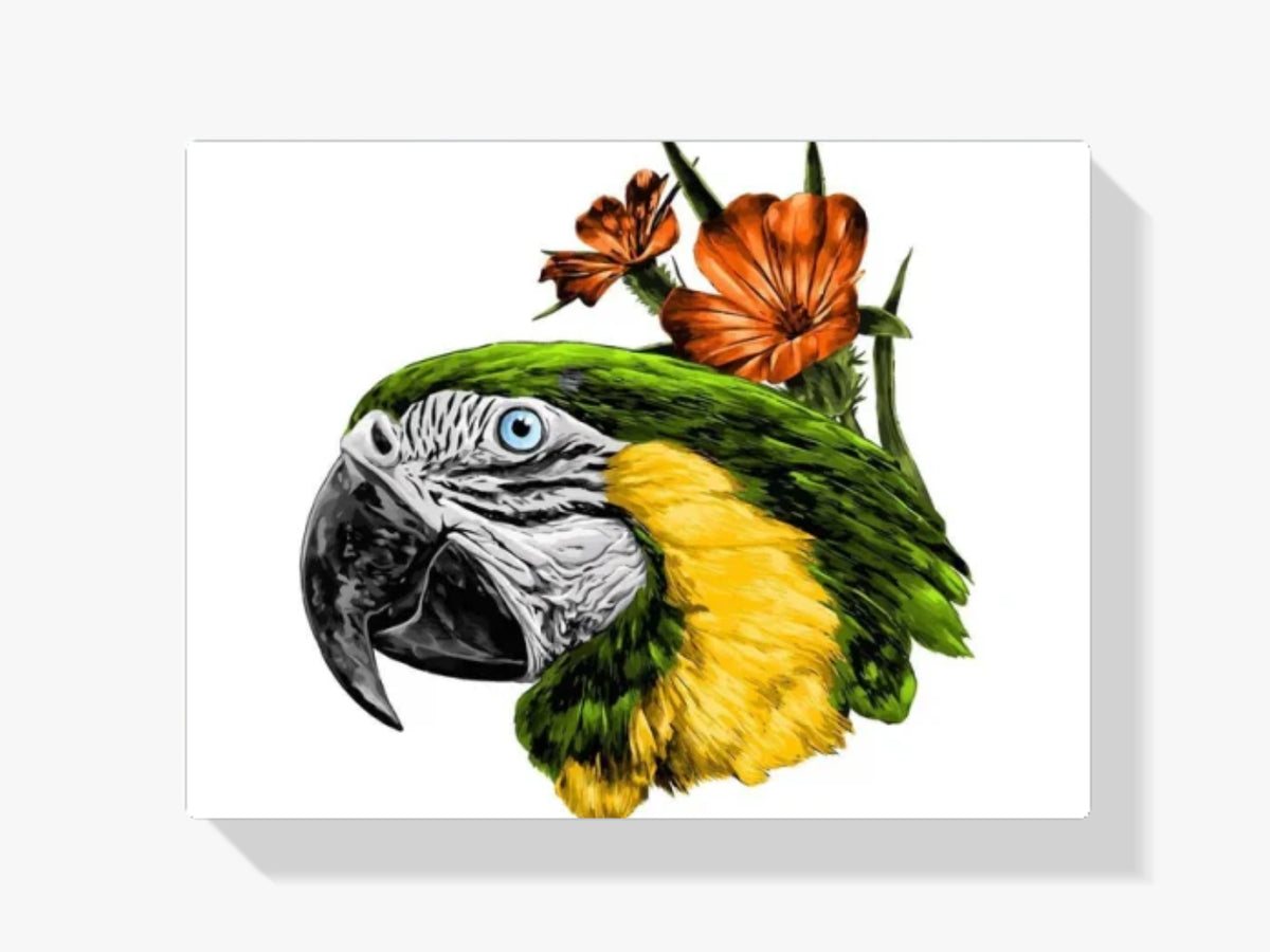 Dipingere con i numeri – pappagallo primo piano