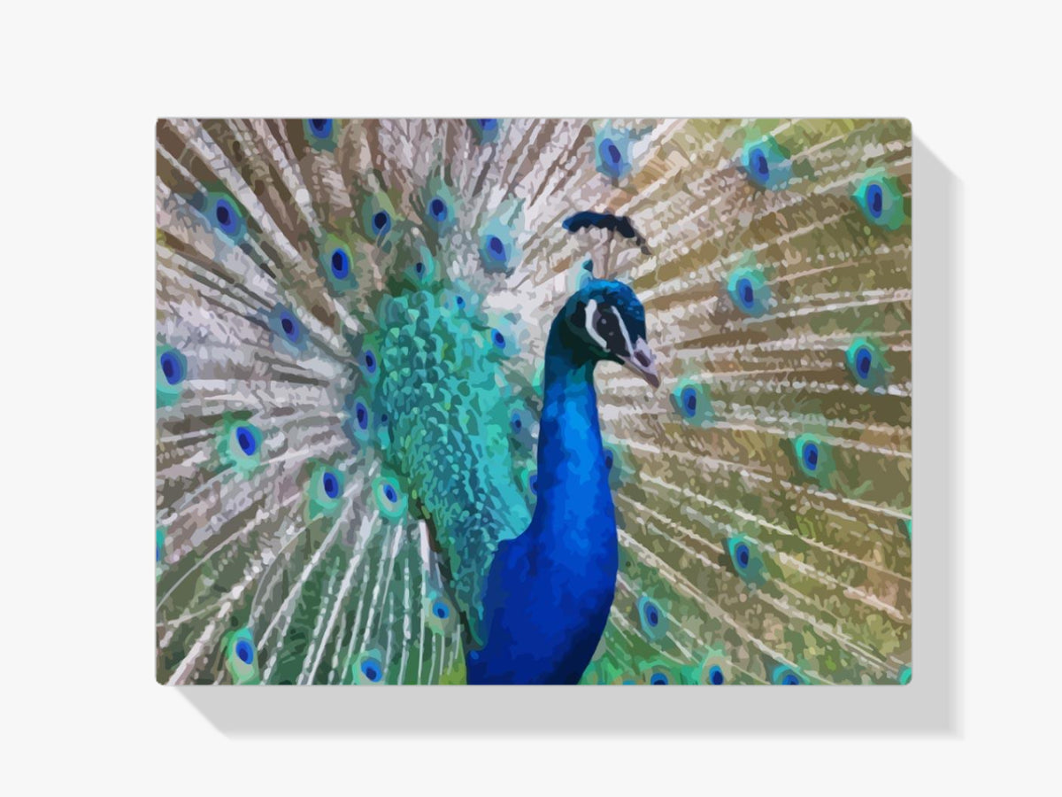 Dipingere con i numeri - Pavone da vicino