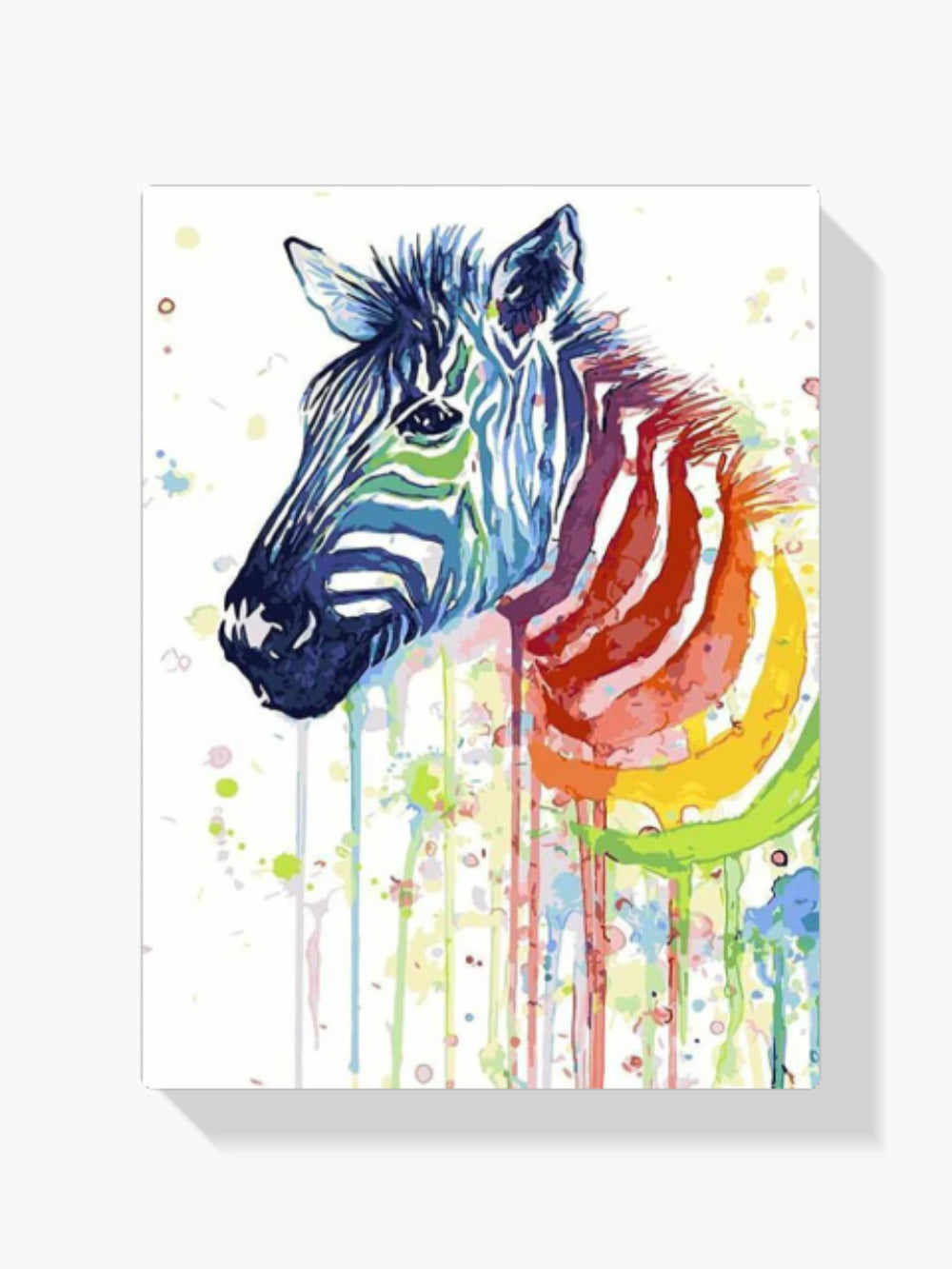 dipingere con i numeri - zebra arcobaleno
