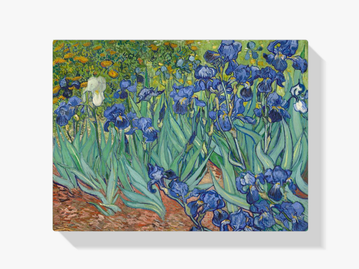 dipingere con i numeri - Fiori belli Van Gogh