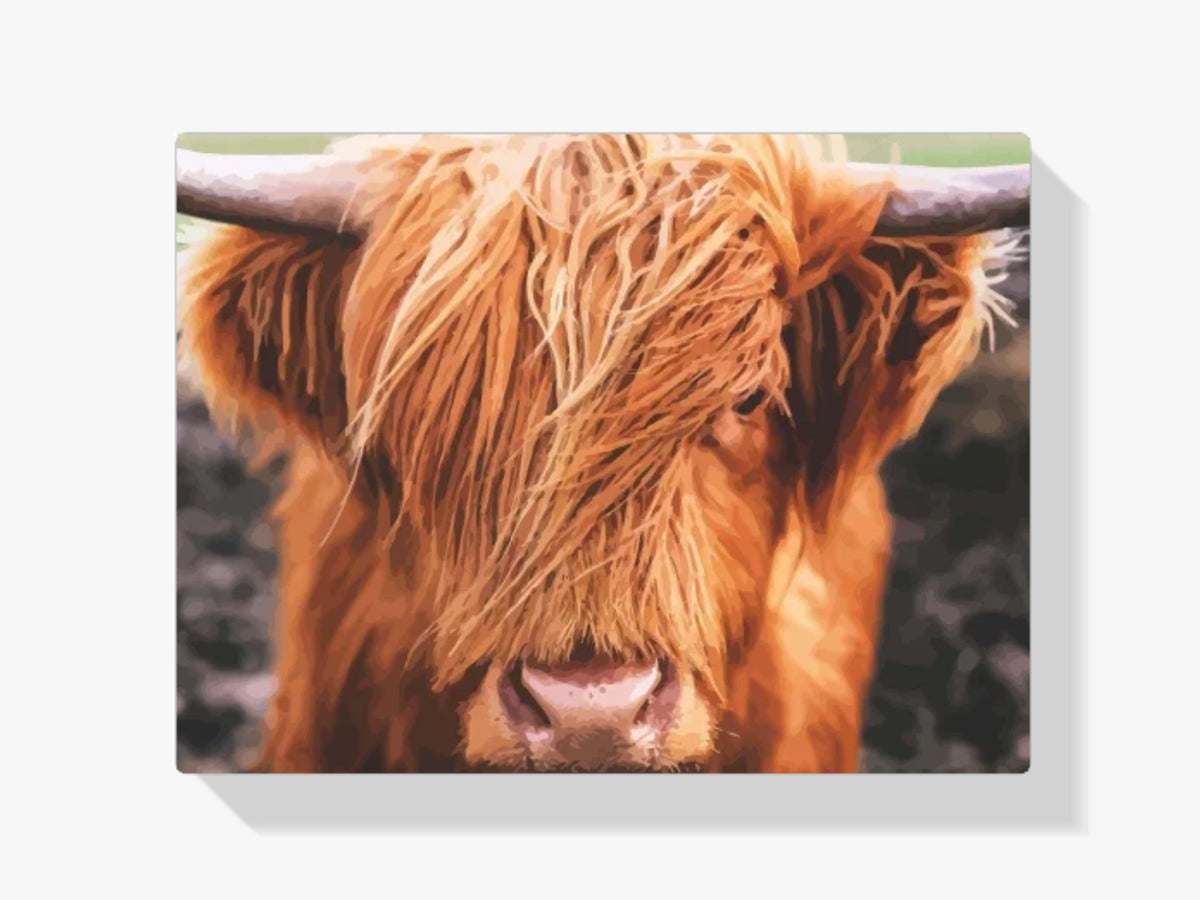 dipingere con i numeri - Altilandesi scozzesi