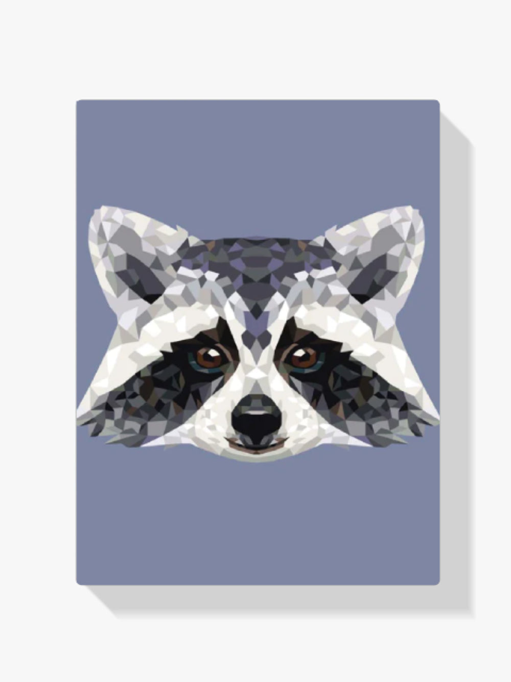 dipingere con i numeri – procione poligono