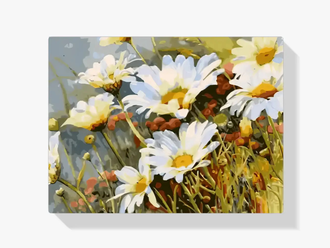 dipingere con i numeri - fiori bianchi nel campo