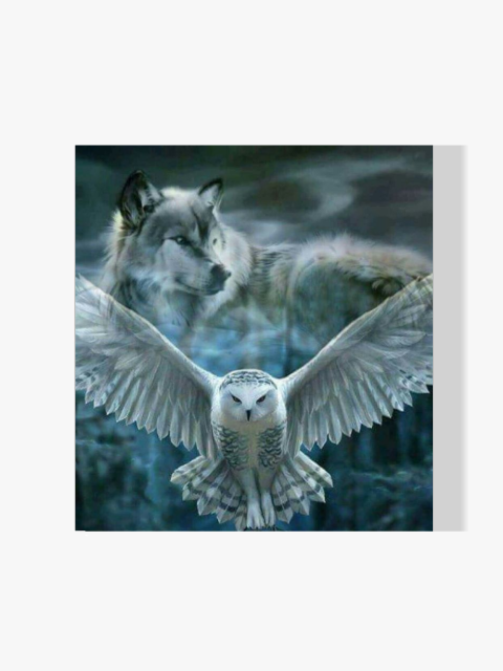 Malen nach Zahlen – Weiße Eule mit Wolf – Voll