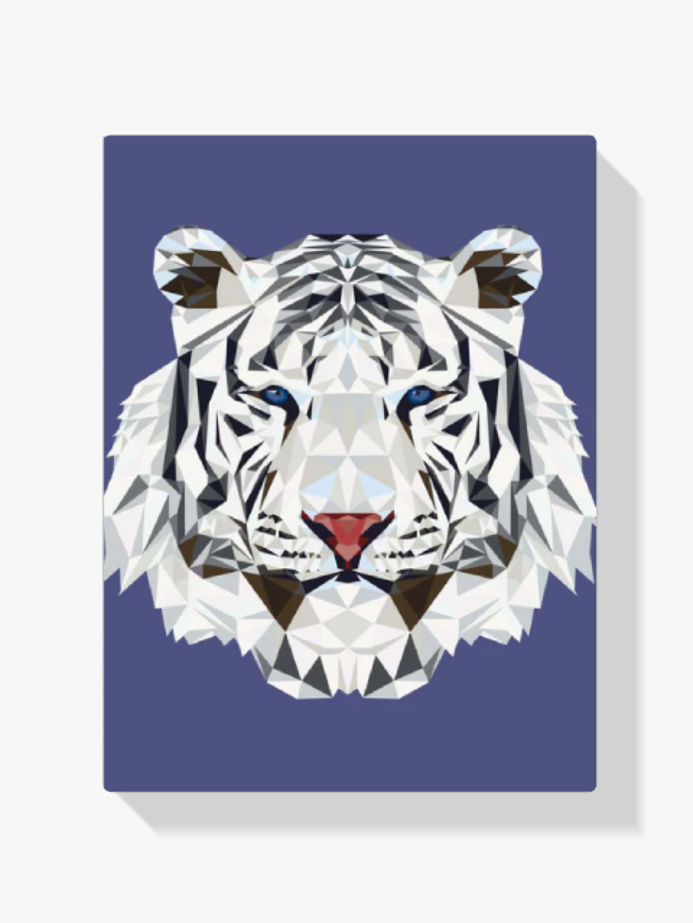 dipingere con i numeri - tigre bianca poligono