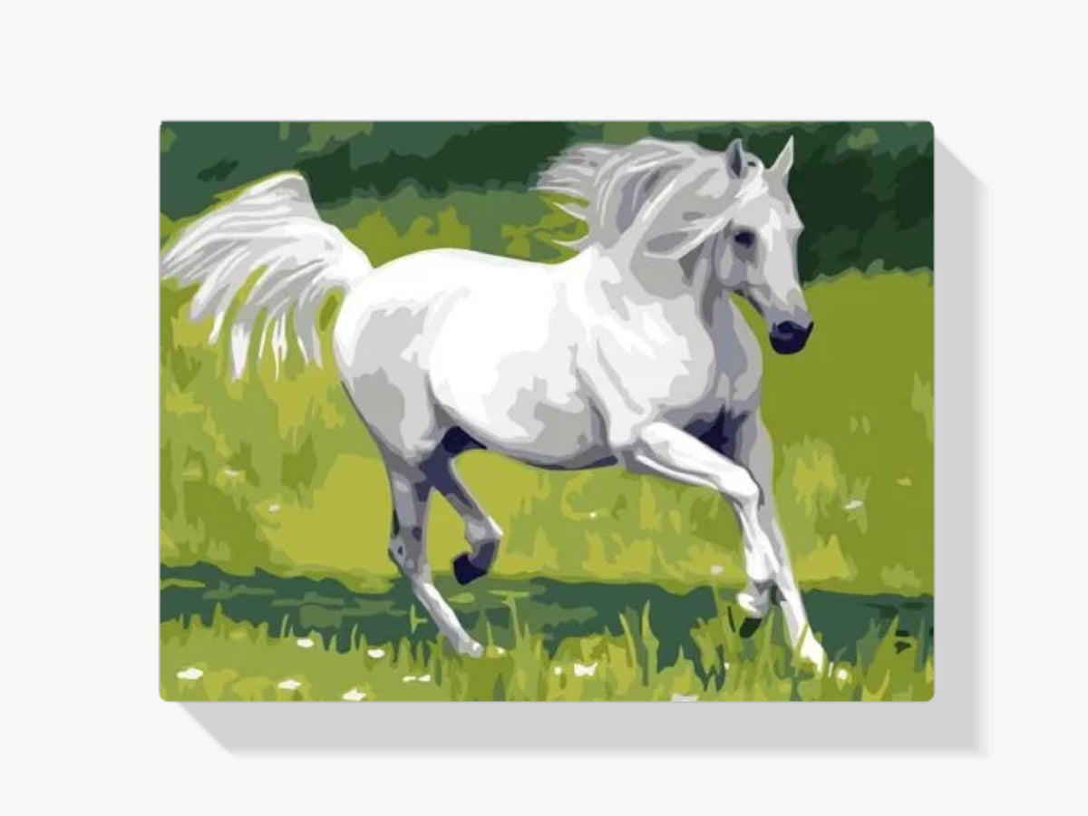 dipingere con i numeri – cavallo bianco