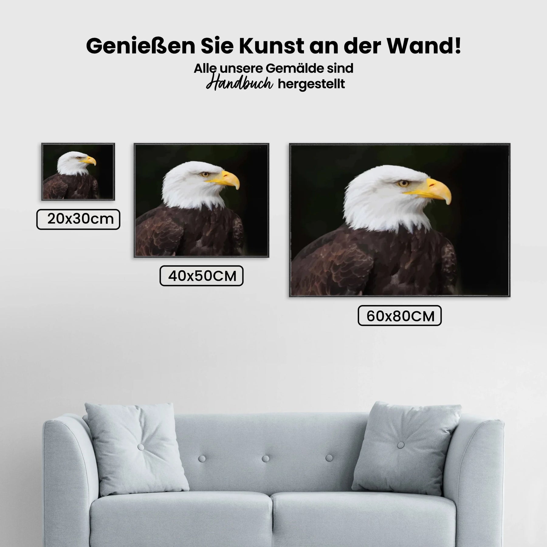 Malen nach Zahlen – Weißkopfseeadler