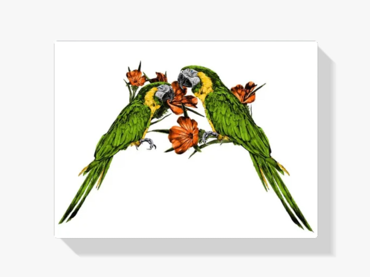dipingere con i numeri – due pappagalli sul ramo