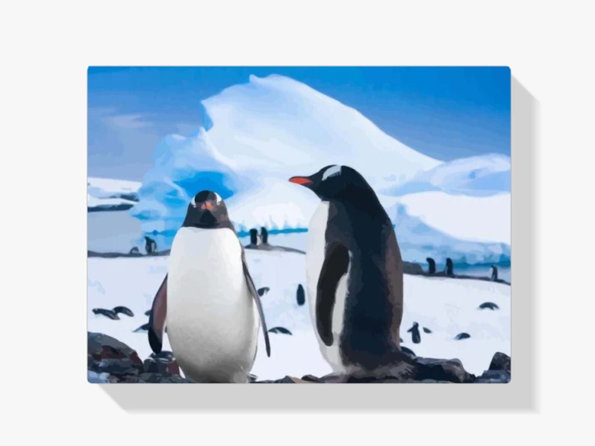 Dipingere con i numeri – Due pinguini a riposo